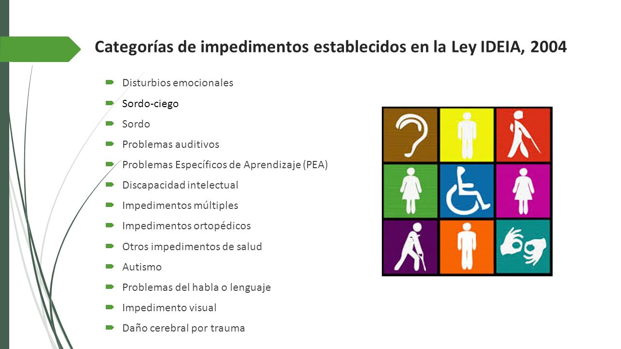 Categorías de impedimentos establecidos en la Ley IDEIA, 2004