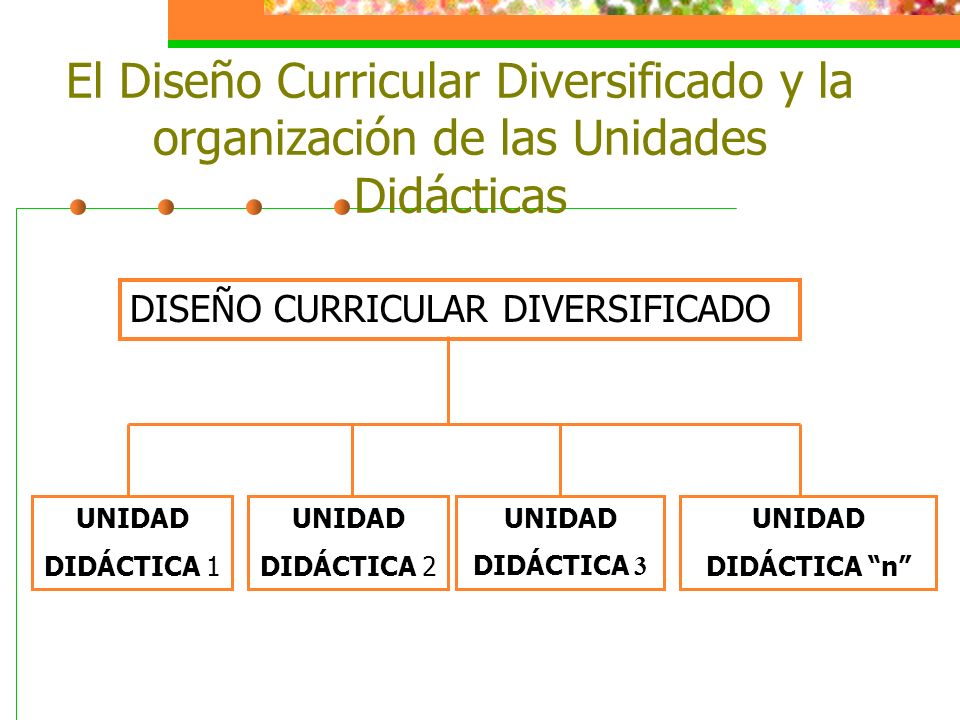 El Diseño Curricular Diversificado y la organización de las Unidades Didácticas