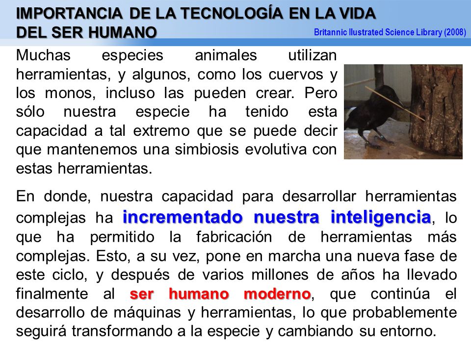 IMPORTANCIA DE LA TECNOLOGÍA EN LA VIDA DEL SER HUMANO