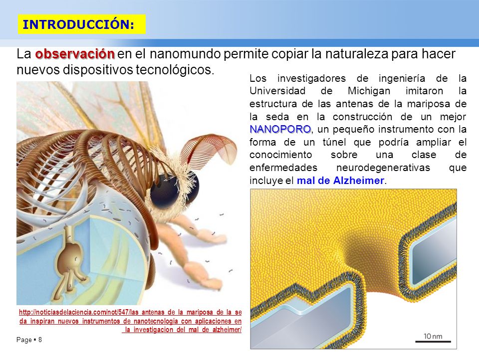 INTRODUCCIÓN: La observación en el nanomundo permite copiar la naturaleza para hacer nuevos dispositivos tecnológicos.