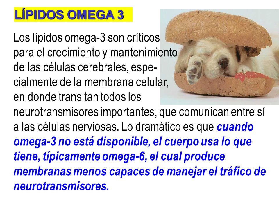 LÍPIDOS OMEGA 3 Los lípidos omega-3 son críticos. para el crecimiento y mantenimiento. de las células cerebrales, espe-