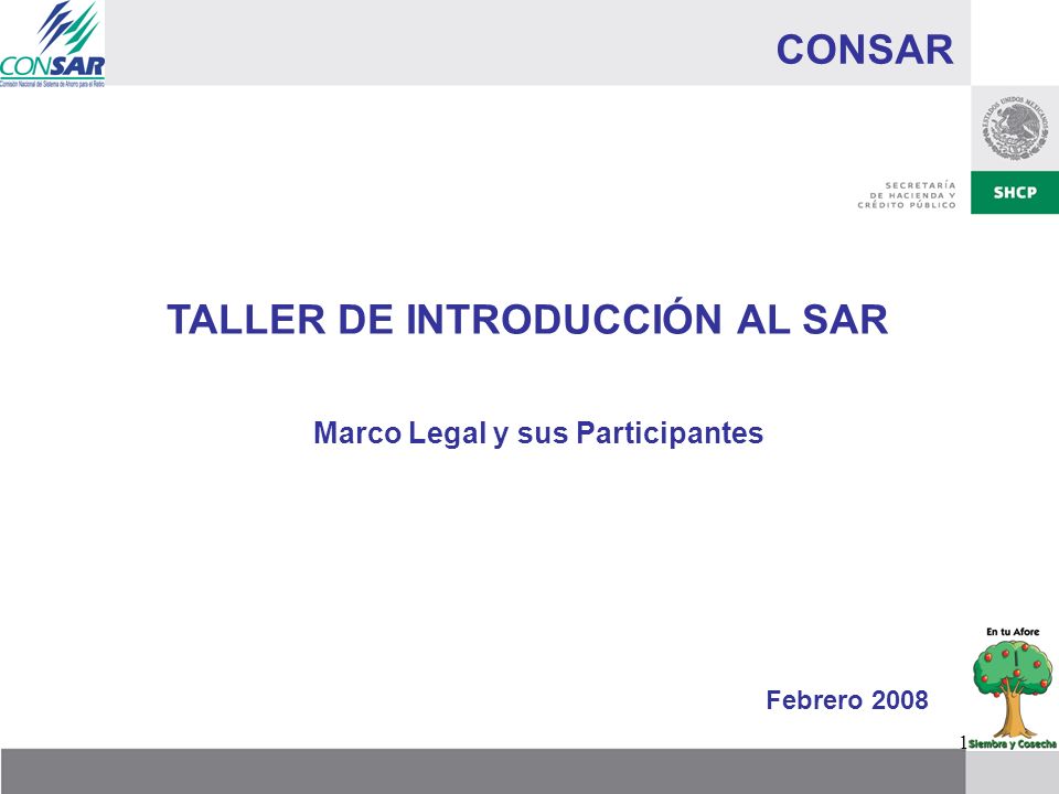 TALLER DE INTRODUCCIÓN AL SAR