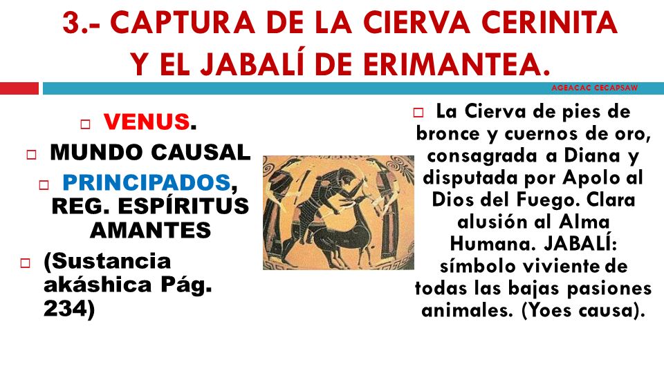 3.- CAPTURA DE LA CIERVA CERINITA Y EL JABALÍ DE ERIMANTEA.