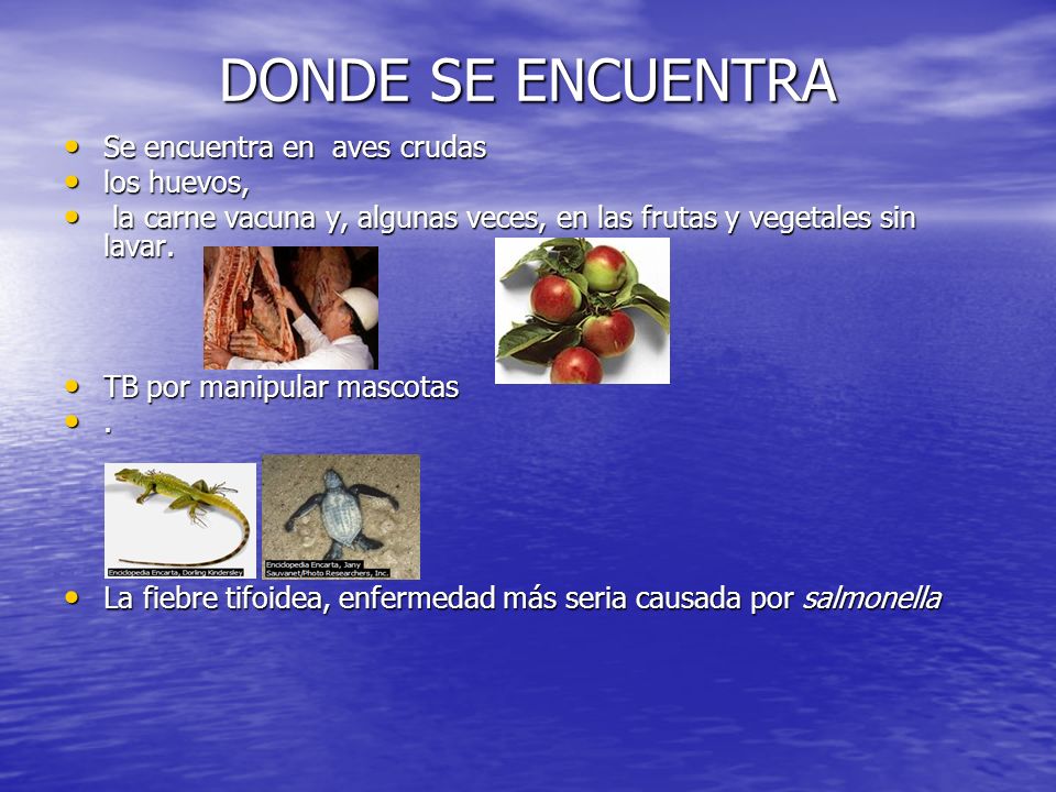 DONDE SE ENCUENTRA Se encuentra en aves crudas los huevos,