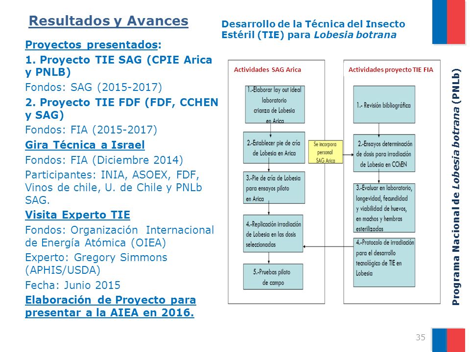Resultados y Avances Desarrollo de la Técnica del Insecto Estéril (TIE) para Lobesia botrana.