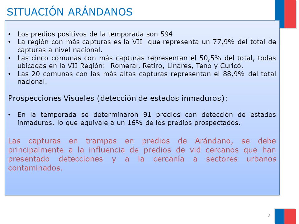 SITUACIÓN ARÁNDANOS Los predios positivos de la temporada son 594.