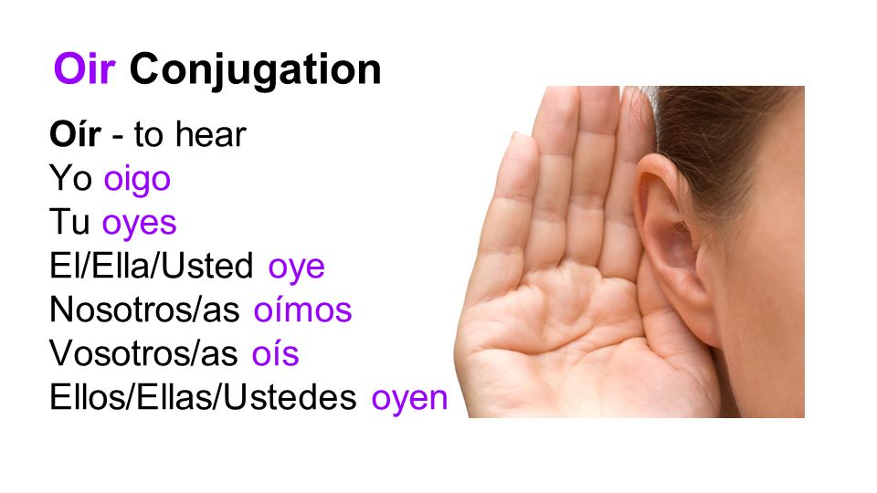 Oir Conjugation Oír - to hear Yo oigo Tu oyes El/Ella/Usted oye