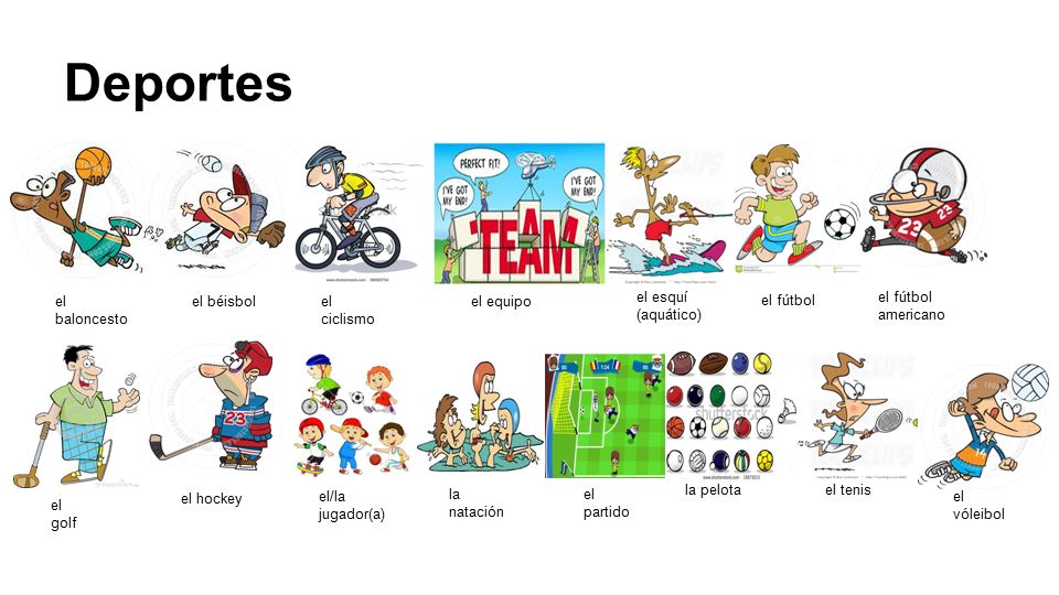 Deportes el baloncesto el béisbol el ciclismo el equipo