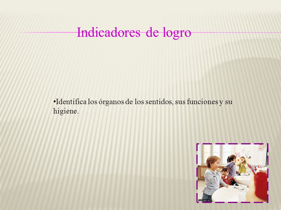 Indicadores de logro Identifica los órganos de los sentidos, sus funciones y su higiene.