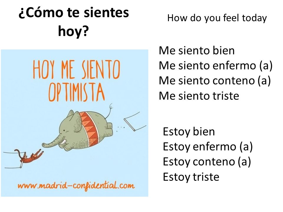 ¿Cómo te sientes hoy Me siento bien Me siento enfermo (a)