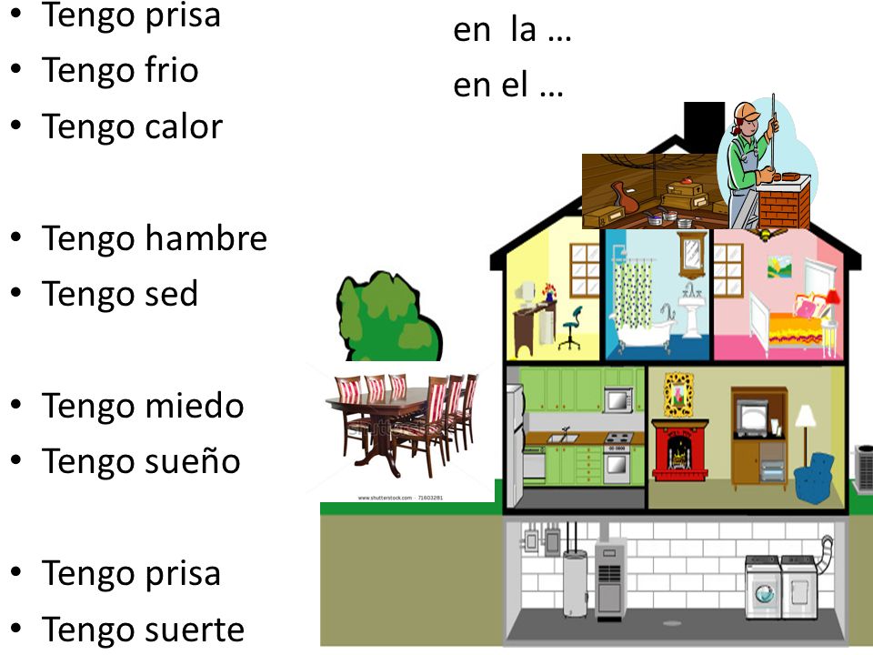 Tengo prisa Tengo frio. Tengo calor. Tengo hambre. Tengo sed. Tengo miedo. Tengo sueño. Tengo suerte.