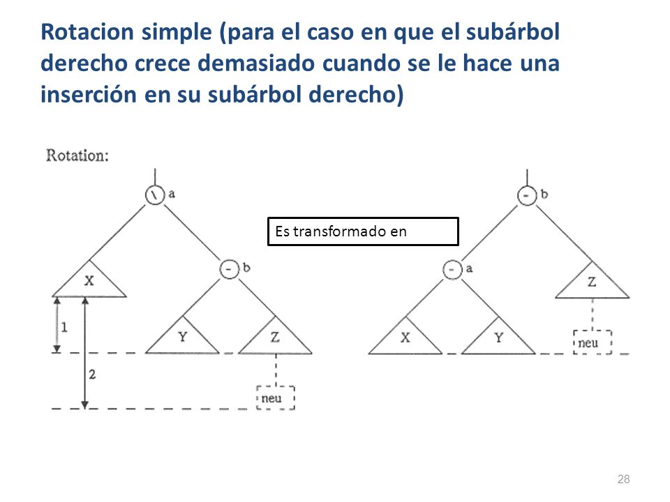 Rotacion simple (para el caso en que el subárbol derecho crece demasiado cuando se le hace una inserción en su subárbol derecho)