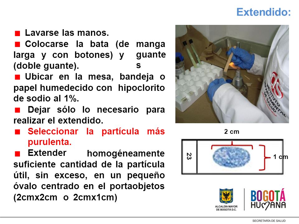 Extendido: Lavarse las manos. Colocarse la bata (de manga guantes