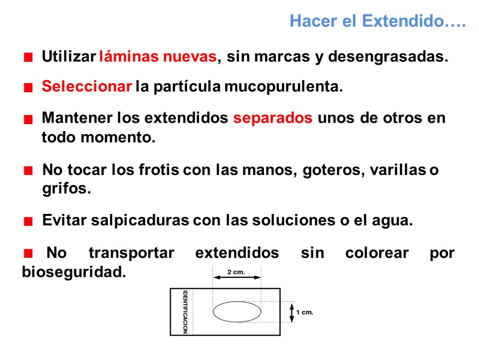 Hacer el Extendido…. Utilizar láminas nuevas, sin marcas y desengrasadas. Seleccionar la partícula mucopurulenta.