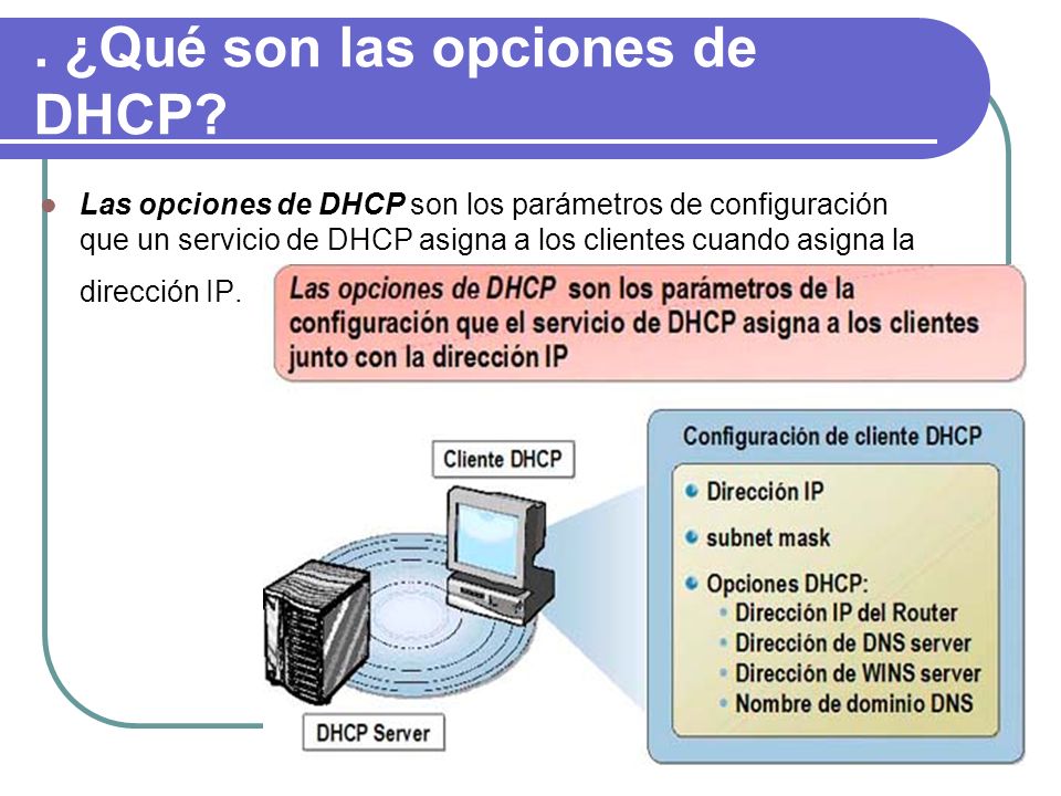. ¿Qué son las opciones de DHCP