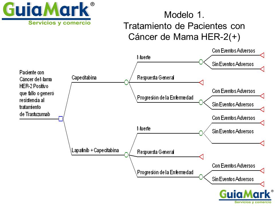 Modelo 1. Tratamiento de Pacientes con Cáncer de Mama HER-2(+)