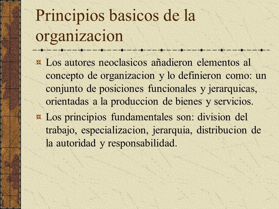 Principios basicos de la organizacion