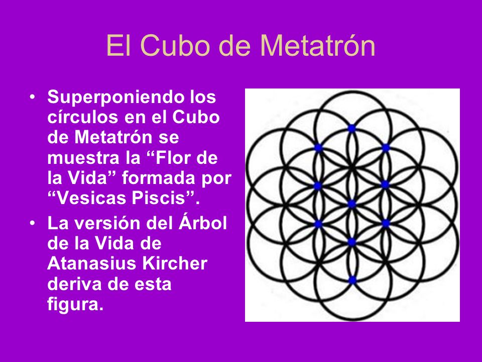 El Cubo de Metatrón Superponiendo los círculos en el Cubo de Metatrón se muestra la Flor de la Vida formada por Vesicas Piscis .