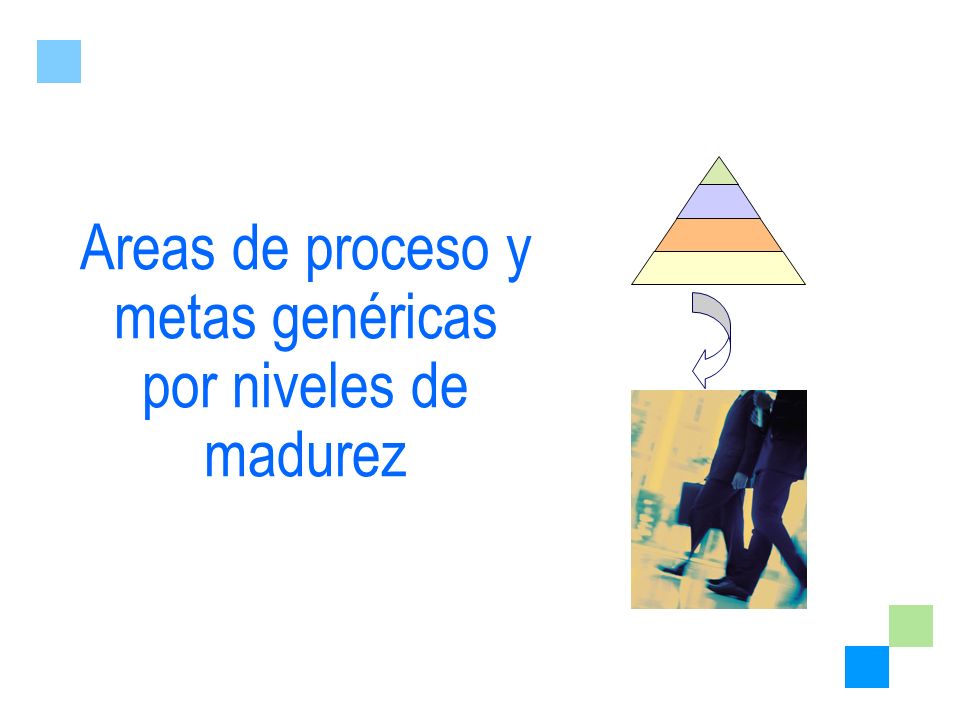 Areas de proceso y metas genéricas por niveles de madurez