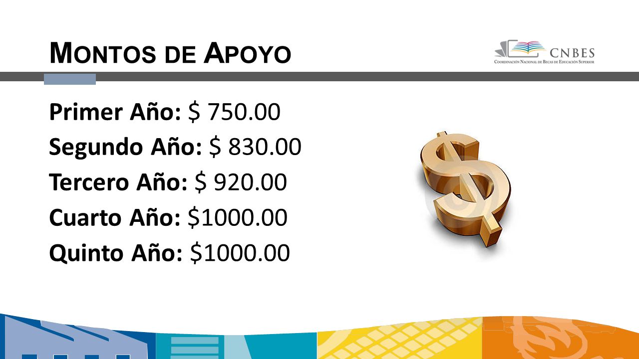 Montos de Apoyo Primer Año: $ Segundo Año: $ Tercero Año: $ Cuarto Año: $ Quinto Año: $