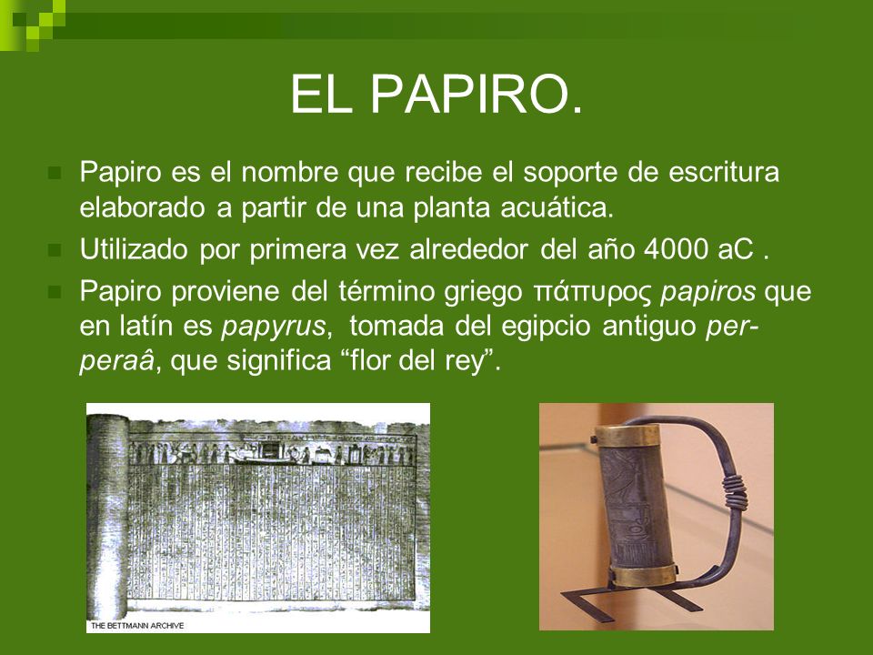 EL PAPIRO. Papiro es el nombre que recibe el soporte de escritura elaborado a partir de una planta acuática.