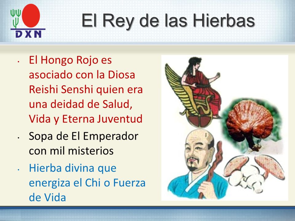 2121 El Rey de las Hierbas. El Hongo Rojo es asociado con la Diosa Reishi Senshi quien era una deidad de Salud, Vida y Eterna Juventud.
