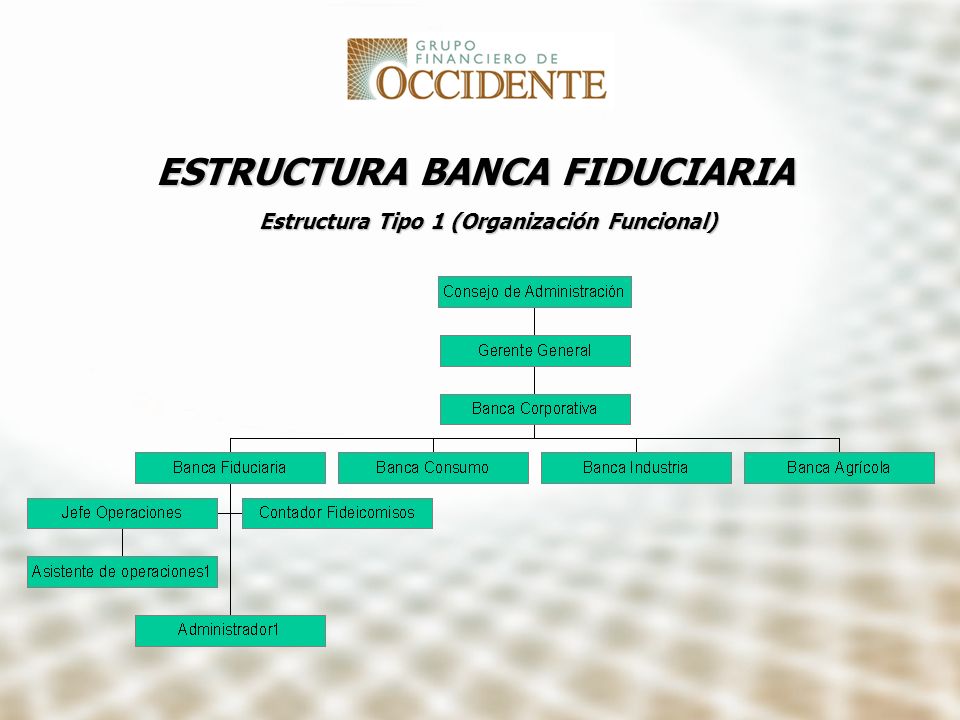 ESTRUCTURA BANCA FIDUCIARIA Estructura Tipo 1 (Organización Funcional)
