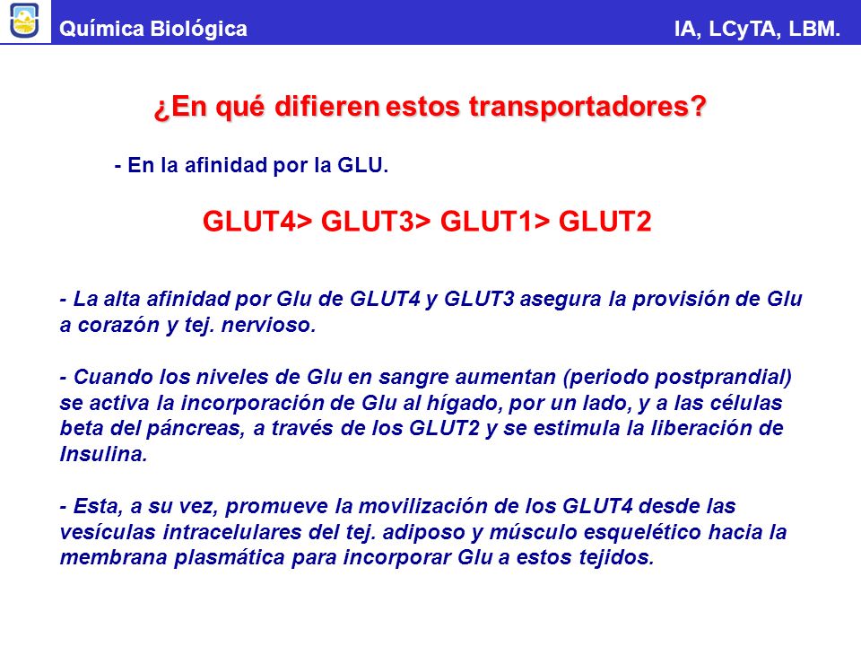 ¿En qué difieren estos transportadores - En la afinidad por la GLU.