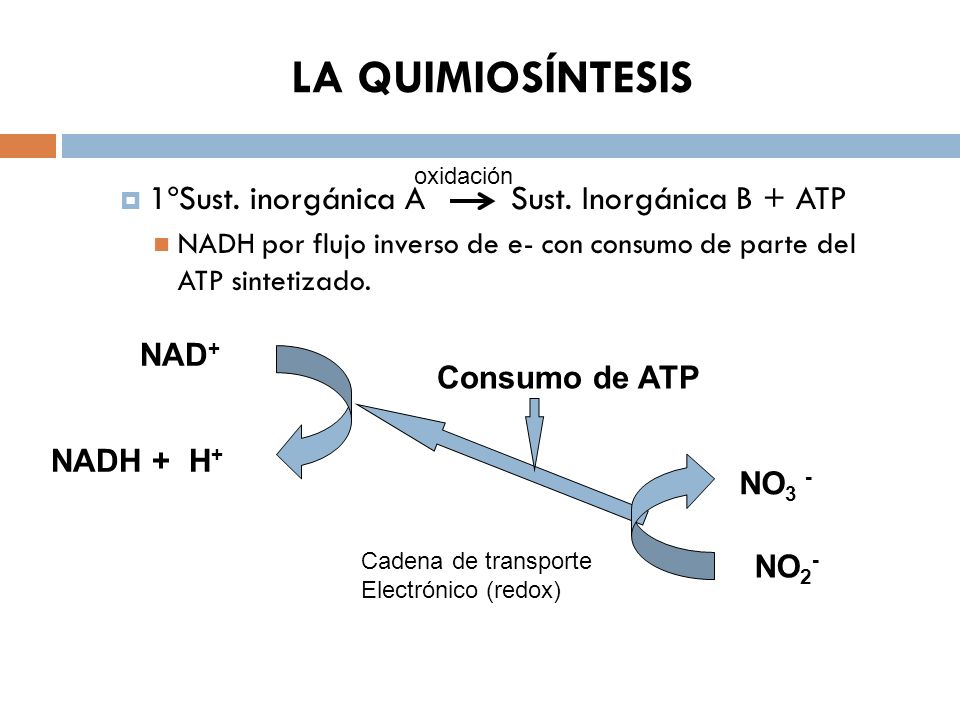 LA QUIMIOSÍNTESIS 1ºSust. inorgánica A Sust. Inorgánica B + ATP NAD+