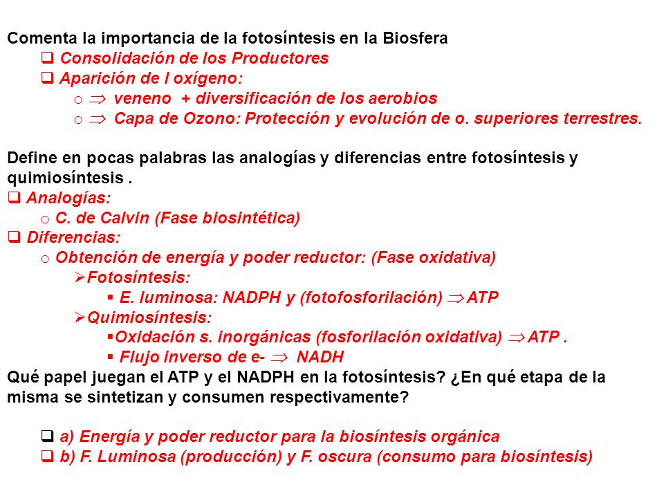 Comenta la importancia de la fotosíntesis en la Biosfera