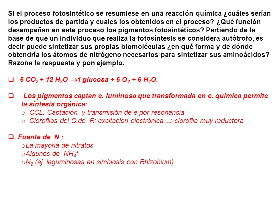 Si el proceso fotosintético se resumiese en una reacción química ¿cuáles serían los productos de partida y cuales los obtenidos en el proceso ¿Qué función desempeñan en este proceso los pigmentos fotosintéticos Partiendo de la base de que un individuo que realiza la fotosíntesis se considera autótrofo, es decir puede sintetizar sus propias biomoléculas ¿en qué forma y de dónde obtendría los átomos de nitrógeno necesarios para sintetizar sus aminoácidos Razona la respuesta y pon ejemplo.