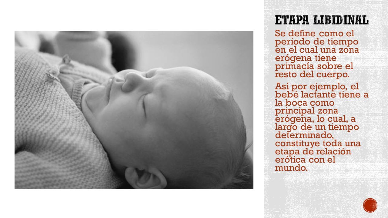 Etapa libidinal Se define como el periodo de tiempo en el cual una zona erógena tiene primacía sobre el resto del cuerpo.