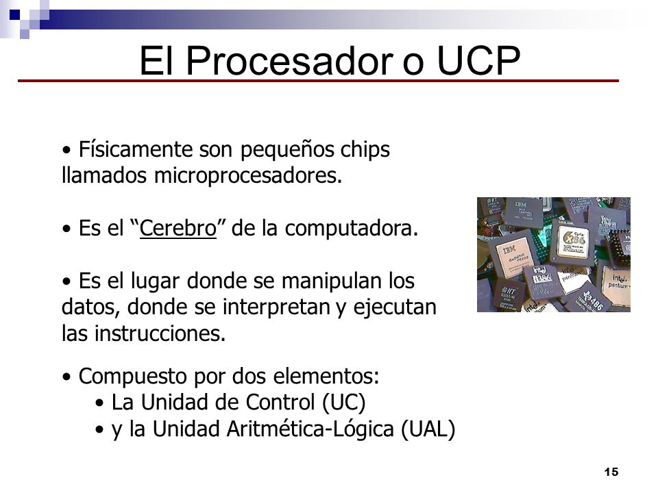 El Procesador o UCP Físicamente son pequeños chips llamados microprocesadores. Es el Cerebro de la computadora.