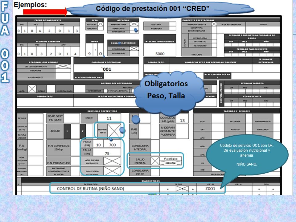 Código de servicio 001 con Dx. De evaluación nutricional y anemia