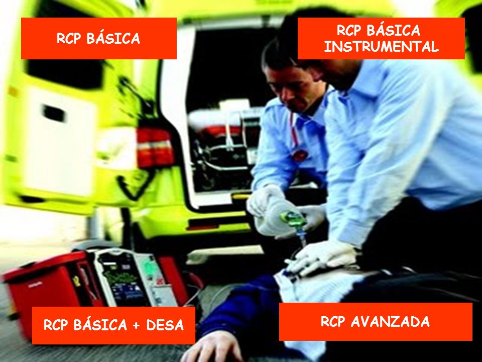 RCP BÁSICA RCP BÁSICA INSTRUMENTAL RCP AVANZADA RCP BÁSICA + DESA