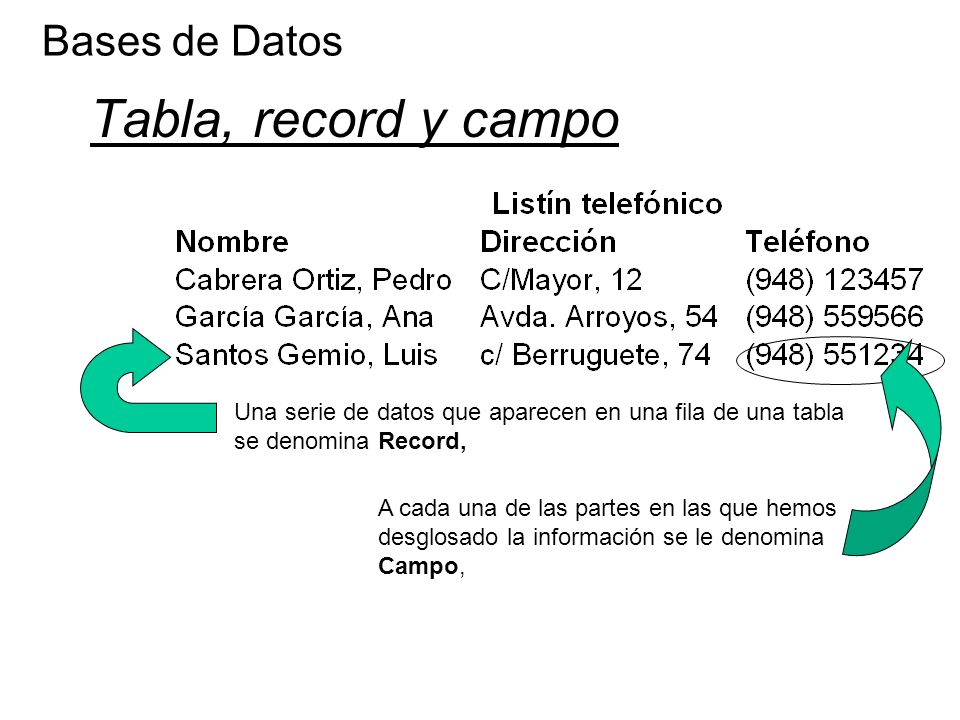 Tabla, record y campo Bases de Datos