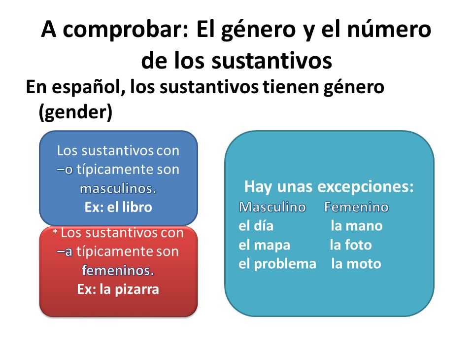 A comprobar: El género y el número de los sustantivos