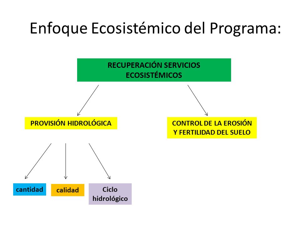 Enfoque Ecosistémico del Programa: