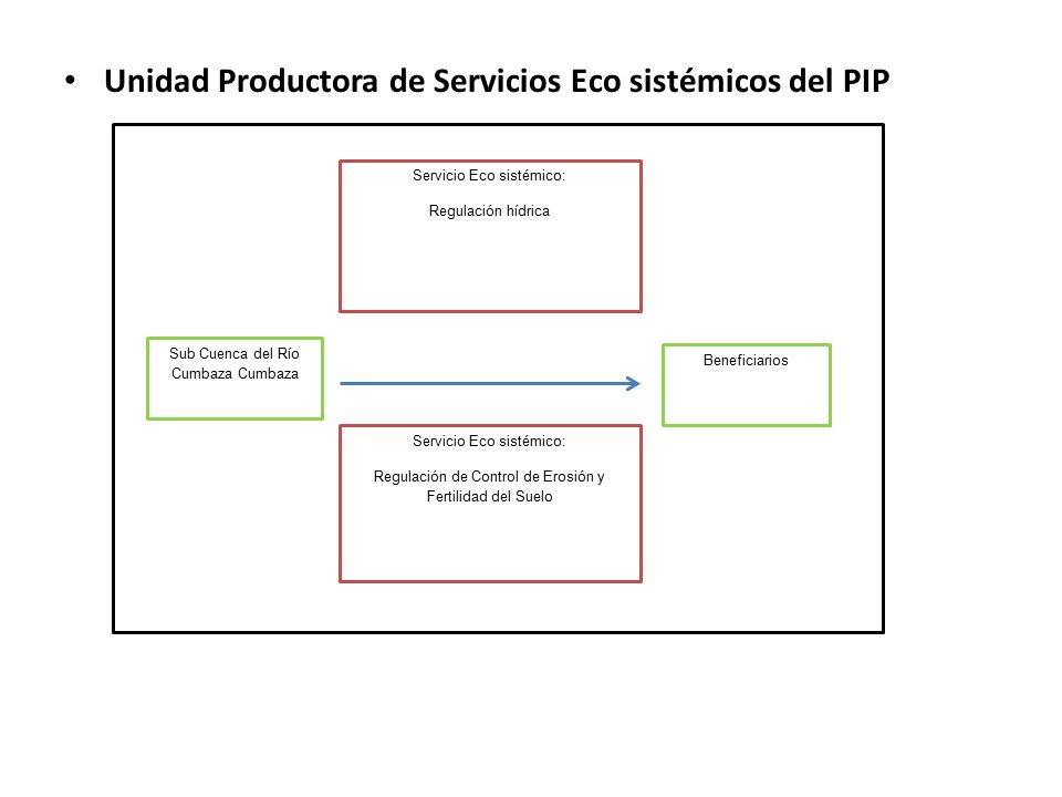 Unidad Productora de Servicios Eco sistémicos del PIP