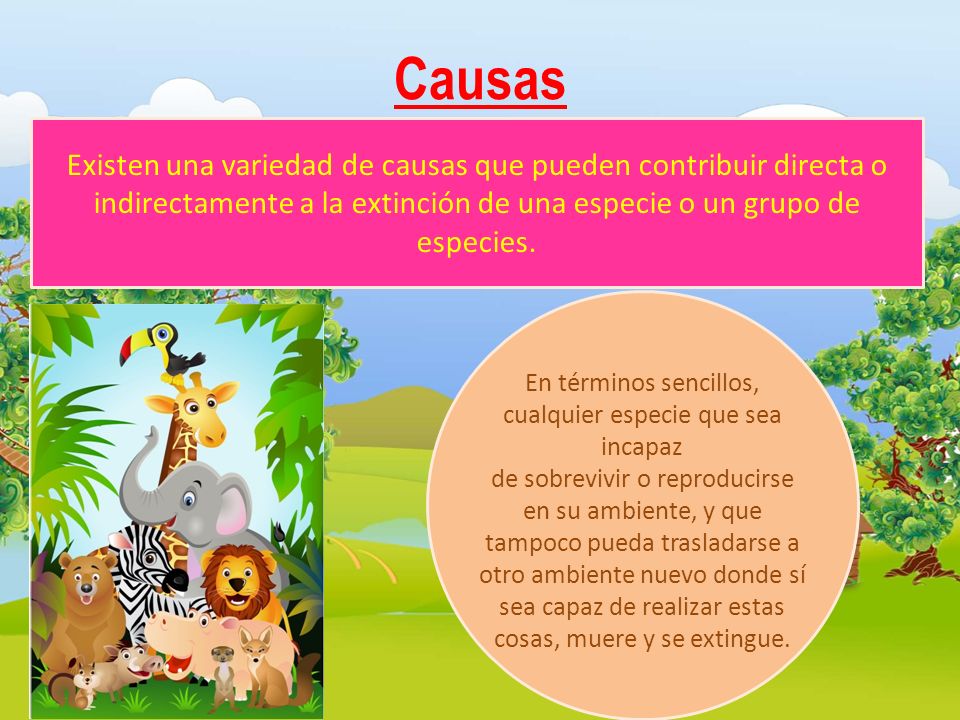 Causas Existen una variedad de causas que pueden contribuir directa o indirectamente a la extinción de una especie o un grupo de especies.