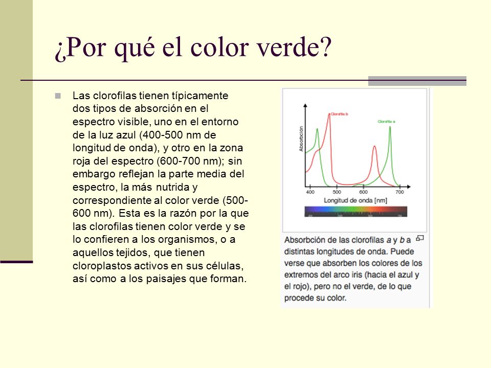 ¿Por qué el color verde
