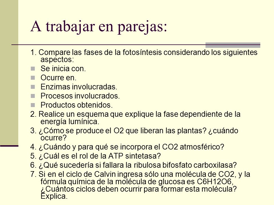 A trabajar en parejas: 1. Compare las fases de la fotosíntesis considerando los siguientes aspectos: