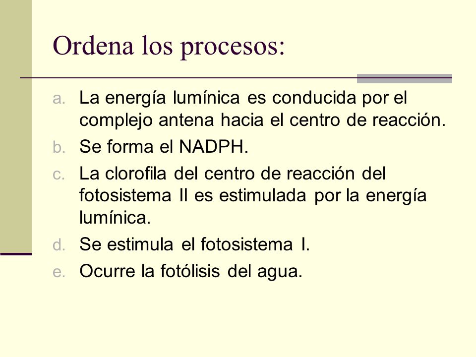 Ordena los procesos: La energía lumínica es conducida por el complejo antena hacia el centro de reacción.