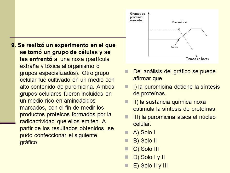 9. Se realizó un experimento en el que se tomó un grupo de células y se las enfrentó a una noxa (partícula extraña y tóxica al organismo o grupos especializados). Otro grupo celular fue cultivado en un medio con alto contenido de puromicina. Ambos grupos celulares fueron incluidos en un medio rico en aminoácidos marcados, con el fin de medir los productos proteicos formados por la radioactividad que ellos emiten. A partir de los resultados obtenidos, se pudo confeccionar el siguiente gráfico.
