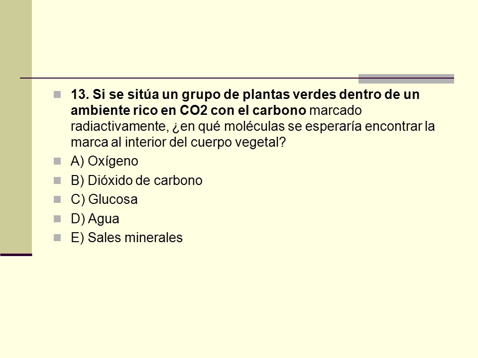 13. Si se sitúa un grupo de plantas verdes dentro de un ambiente rico en CO2 con el carbono marcado radiactivamente, ¿en qué moléculas se esperaría encontrar la marca al interior del cuerpo vegetal