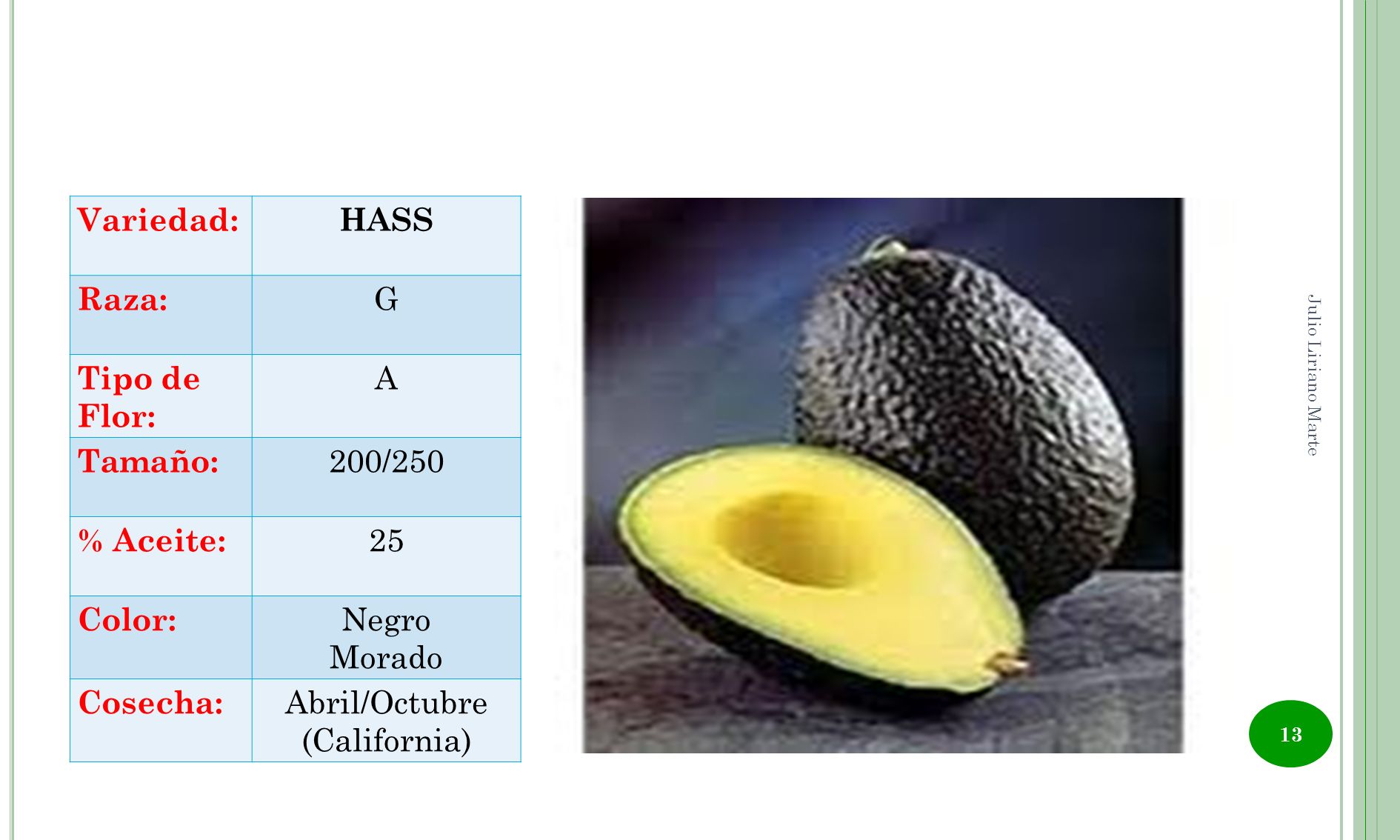 Variedad: HASS Raza: G Tipo de Flor: A Tamaño: 200/250 % Aceite: 25