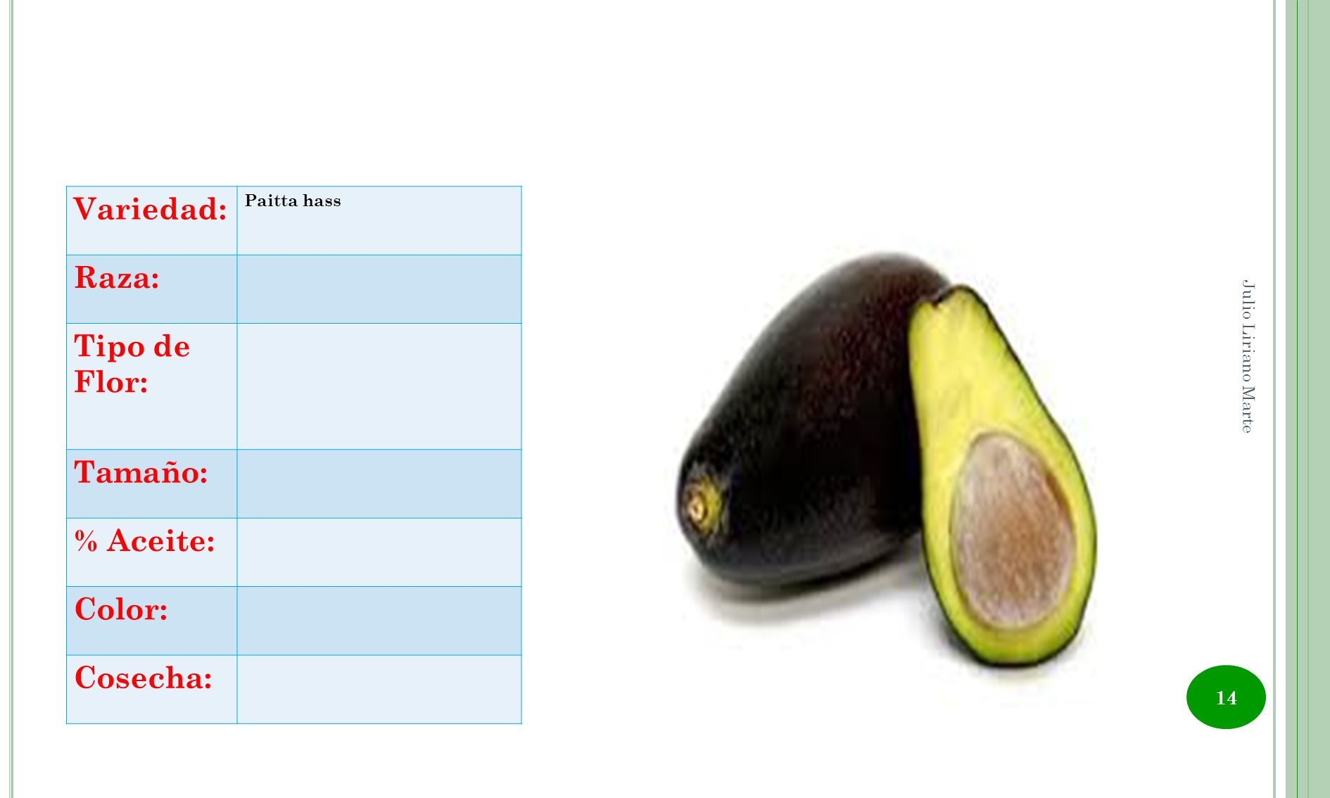 Variedad: Raza: Tipo de Flor: Tamaño: % Aceite: Color: Cosecha: