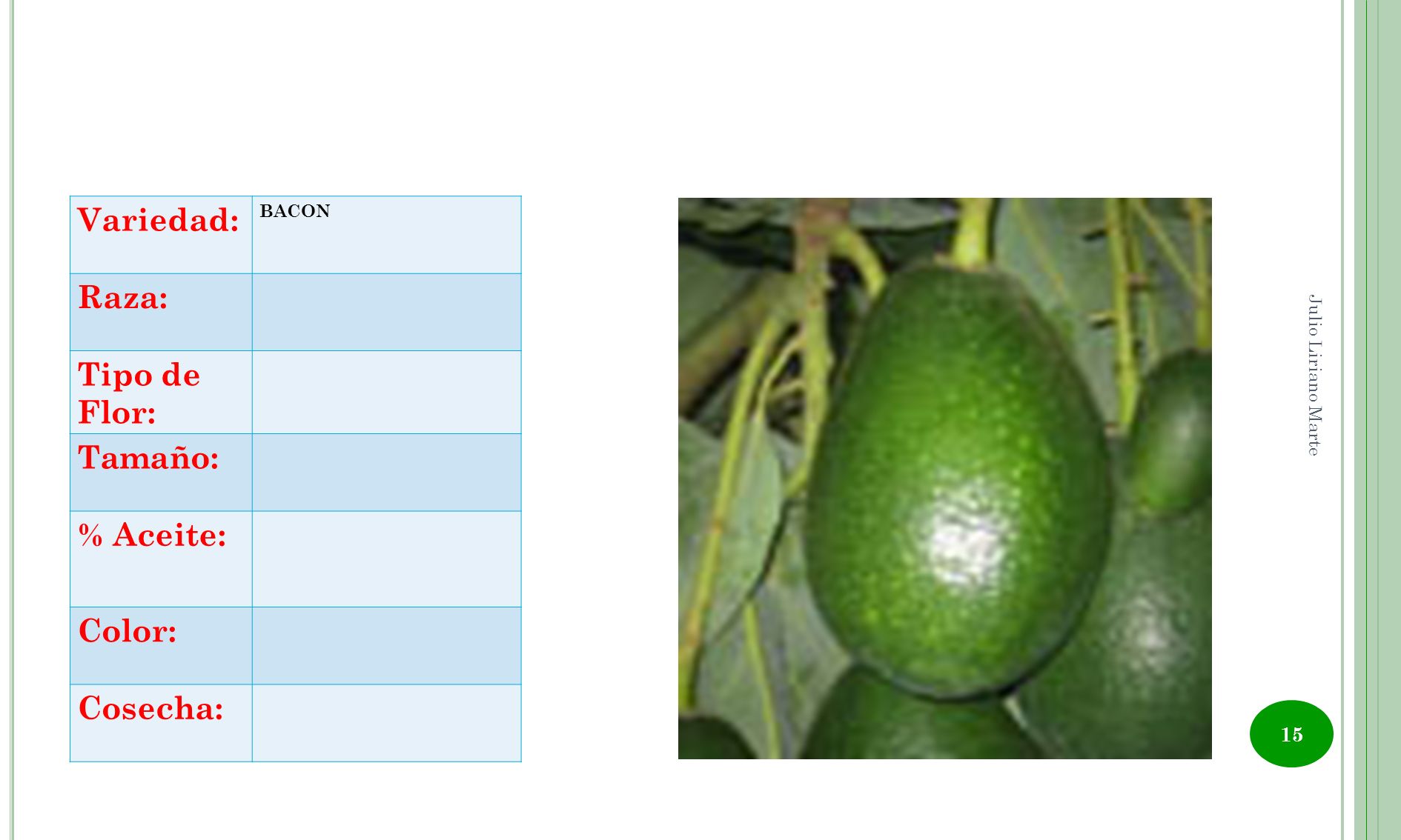 Variedad: Raza: Tipo de Flor: Tamaño: % Aceite: Color: Cosecha: BACON