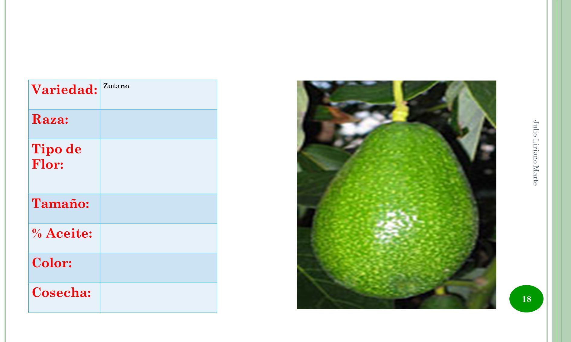 Variedad: Raza: Tipo de Flor: Tamaño: % Aceite: Color: Cosecha: Zutano