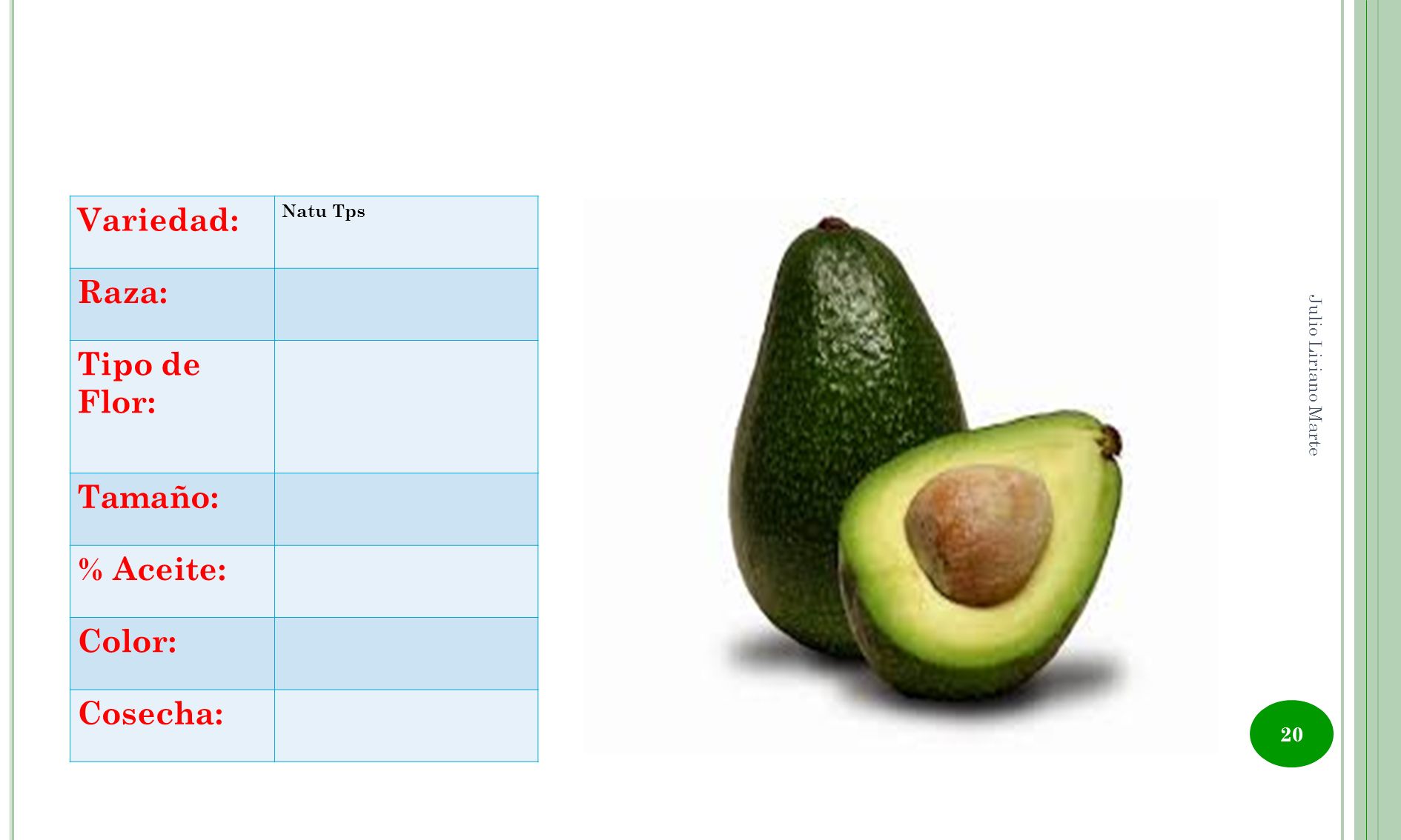 Variedad: Raza: Tipo de Flor: Tamaño: % Aceite: Color: Cosecha: